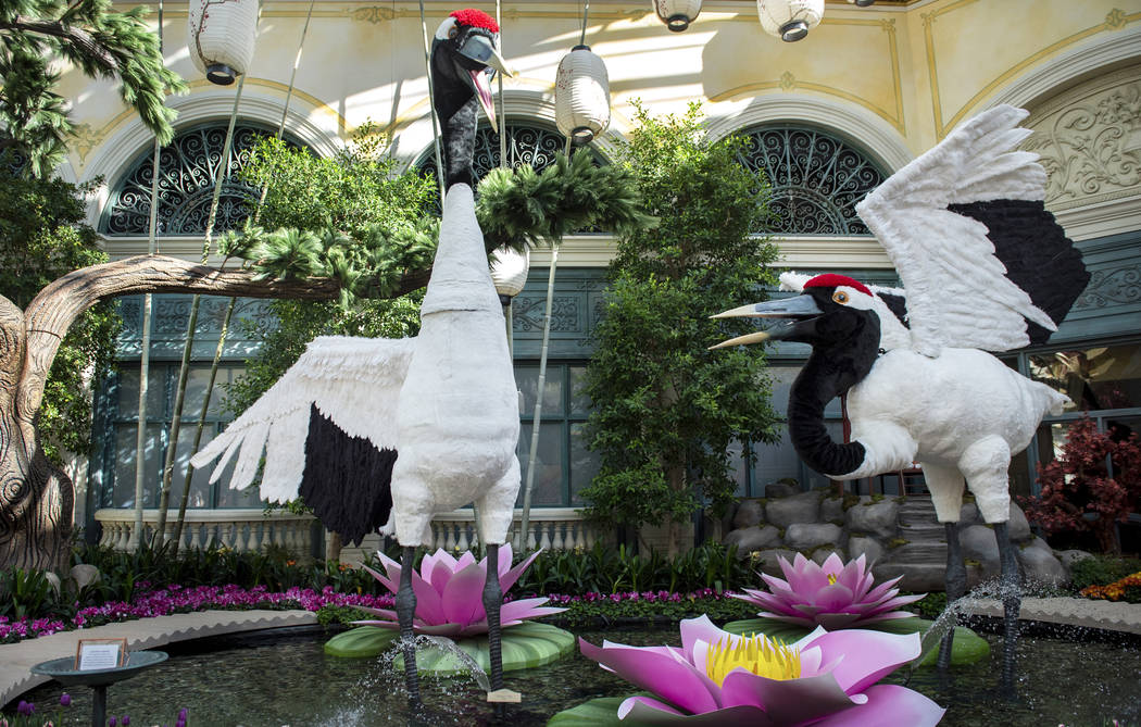 The Bellagio showcases its spring display at the Bellagio Conservatory & Botanical Gardens ...