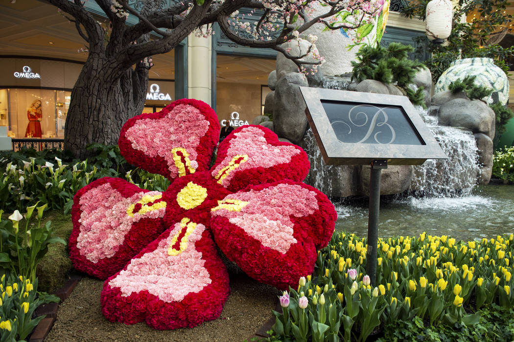 The Bellagio showcases its spring display at the Bellagio Conservatory & Botanical Gardens ...