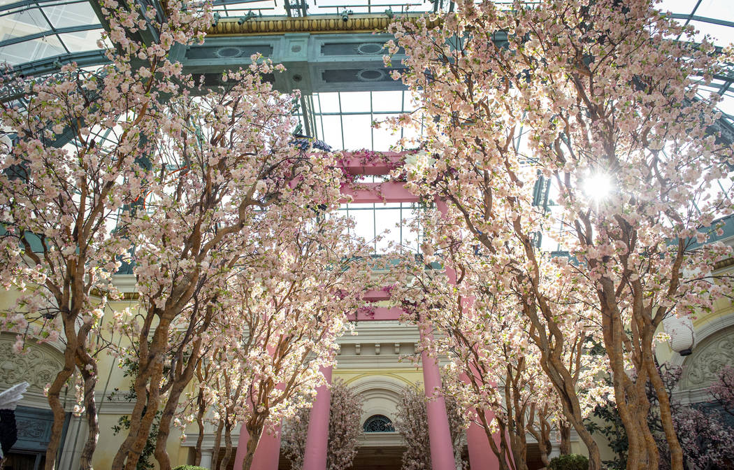 The Bellagio showcases its spring display at the Bellagio Conservatory & Botanical Gardens in L ...