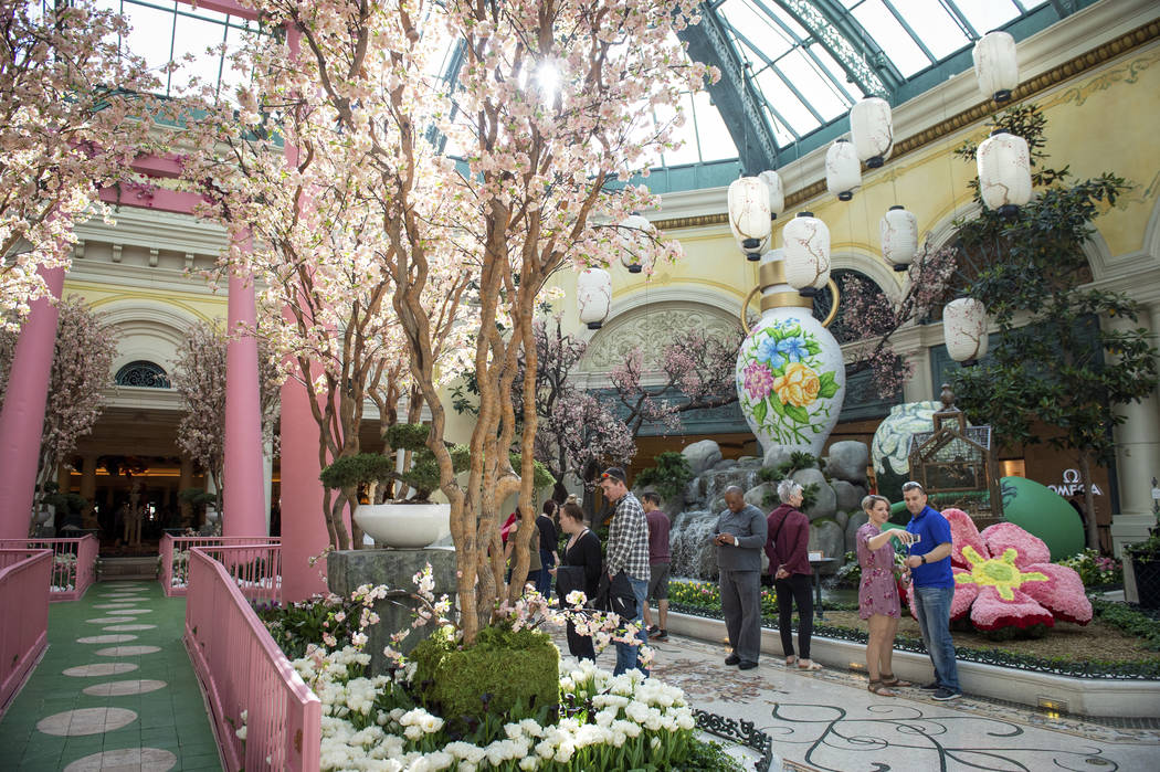 The Bellagio showcases its spring display at the Bellagio Conservatory & Botanical Gardens ...