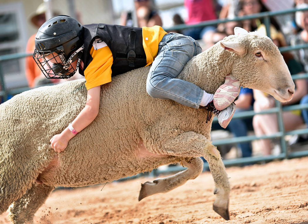 Jensen Aidan, 6, of Henderson, rides backwards on his mount during a qualifying round of mutton ...