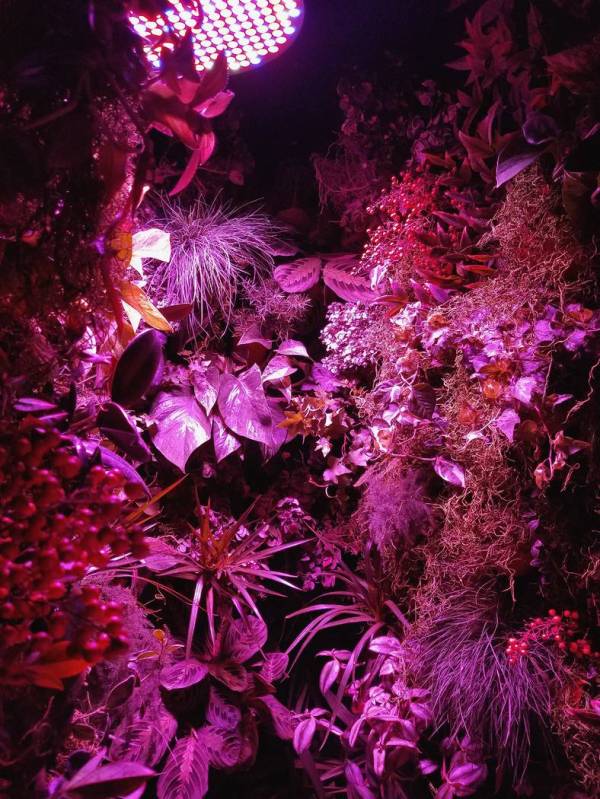 Art installation by Nanda-Sharif-pour, a 3rd-year MFA candidate, on display during UNLV's Open ...