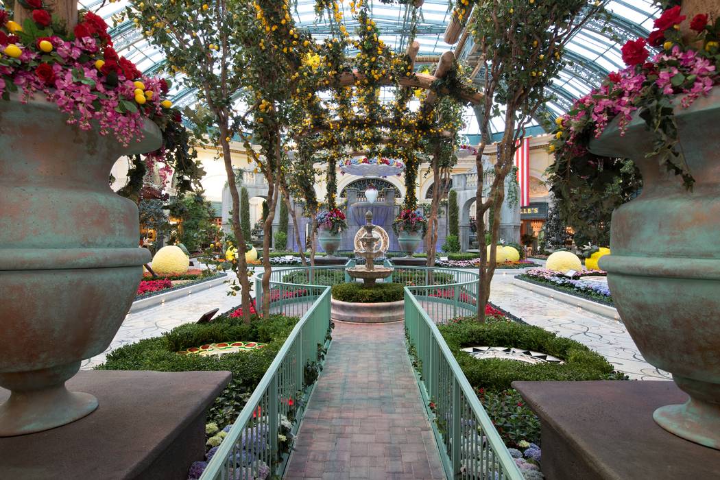 (Kelly McKeon/MGM Resorts International)