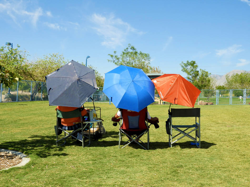 These owners gather their canine pals at Kellogg-Zaher Sports Complex Dog Park on Monday, Aug. ...
