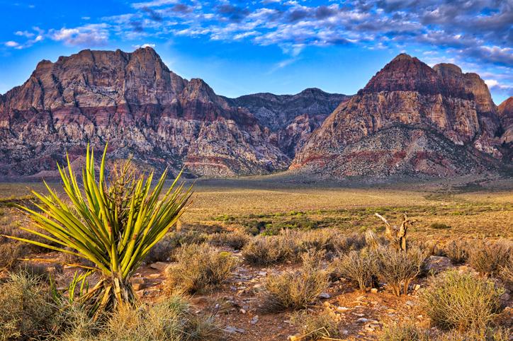 Sunrise at Red Rock Canyon in Nevada.