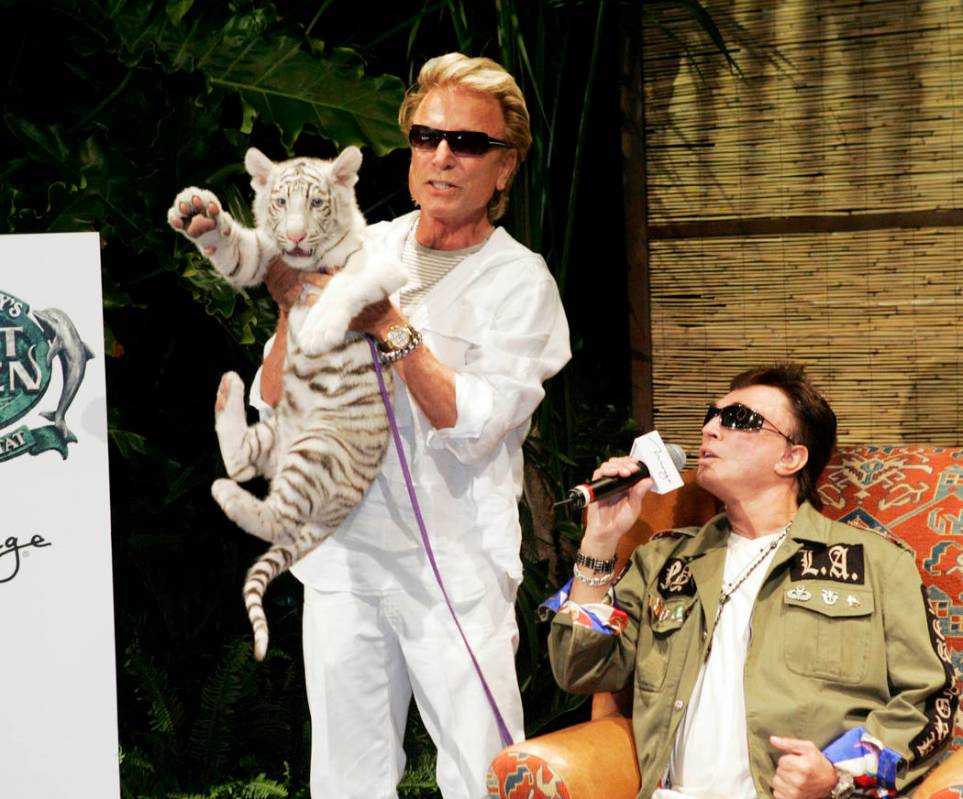 Siegfried Fischbacher, left, holds "Star," a 12-week-old female white tiger, as Roy Horn speaks ...