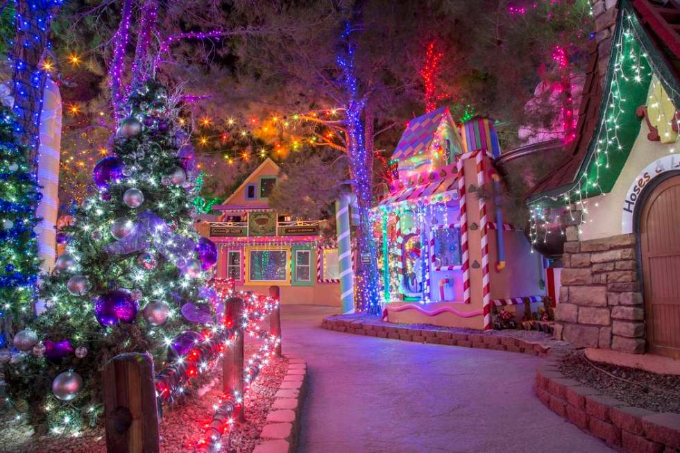 Opportunity Village's Magical Forest.