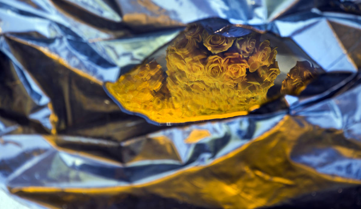 Real yellow roses in a bleeding heart shape are reflected in collecting water as the experienti ...