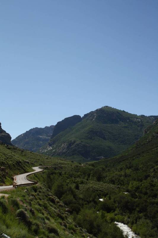 The 12-mile Lamoille Canyon National Scenic Byway takes you into the heart of the Ruby Mountain ...