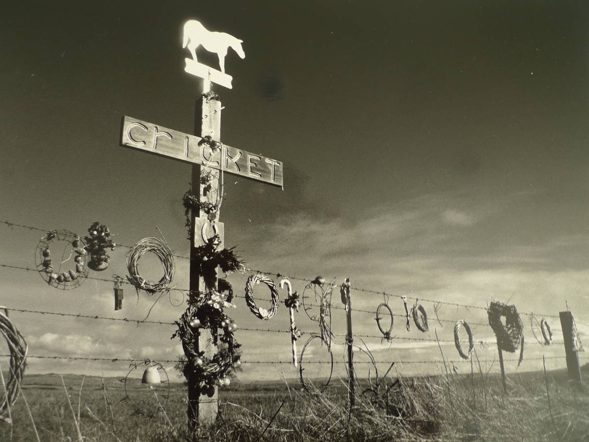 Savidan Gallery will feature photographs by Michael David Lasher through August. (Savidan Gallery)