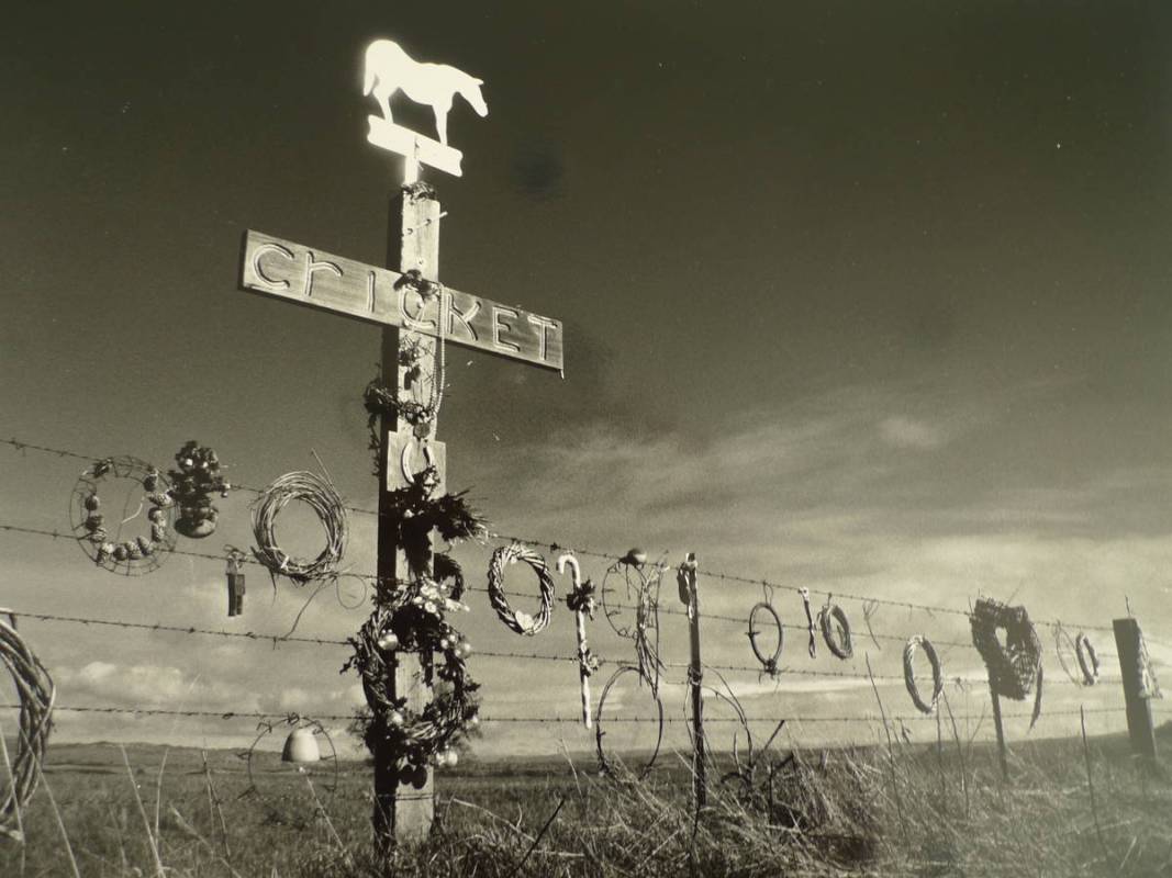 Savidan Gallery will feature photographs by Michael David Lasher through August. (Savidan Gallery)