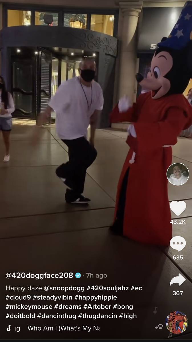 Viral TikTok phenomenon Nathan Apodaca, aka @420doggface208 (left), is shown on the Las Vegas S ...