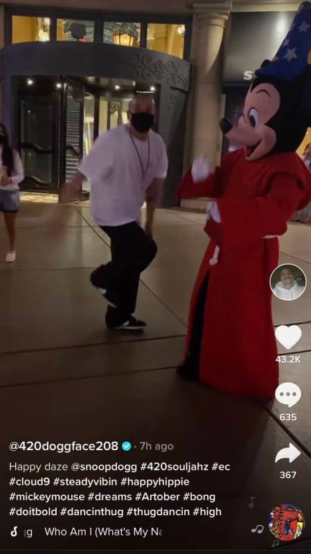Viral TikTok phenomenon Nathan Apodaca, aka @420doggface208 (left), is shown on the Las Vegas S ...