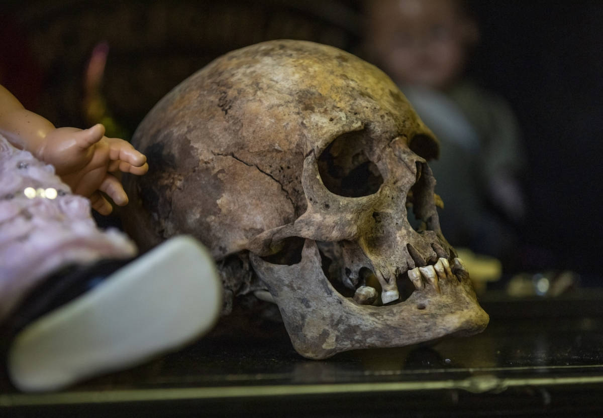 A human skull that carries paranormal energy is seen in Staysha RandallÕs home on Thursday ...