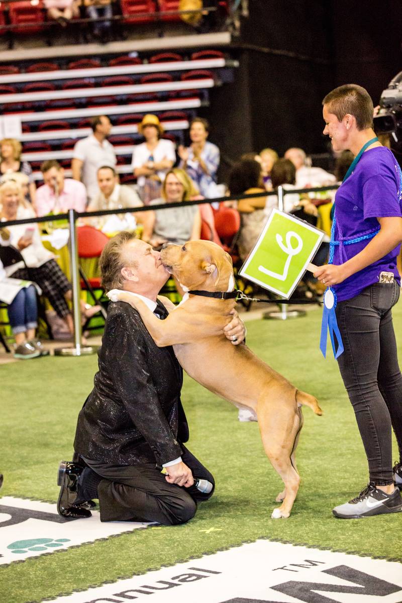 Best in Show winner Joker gives emcee Steve Schorr a kiss during The Animal Foundation's Best i ...