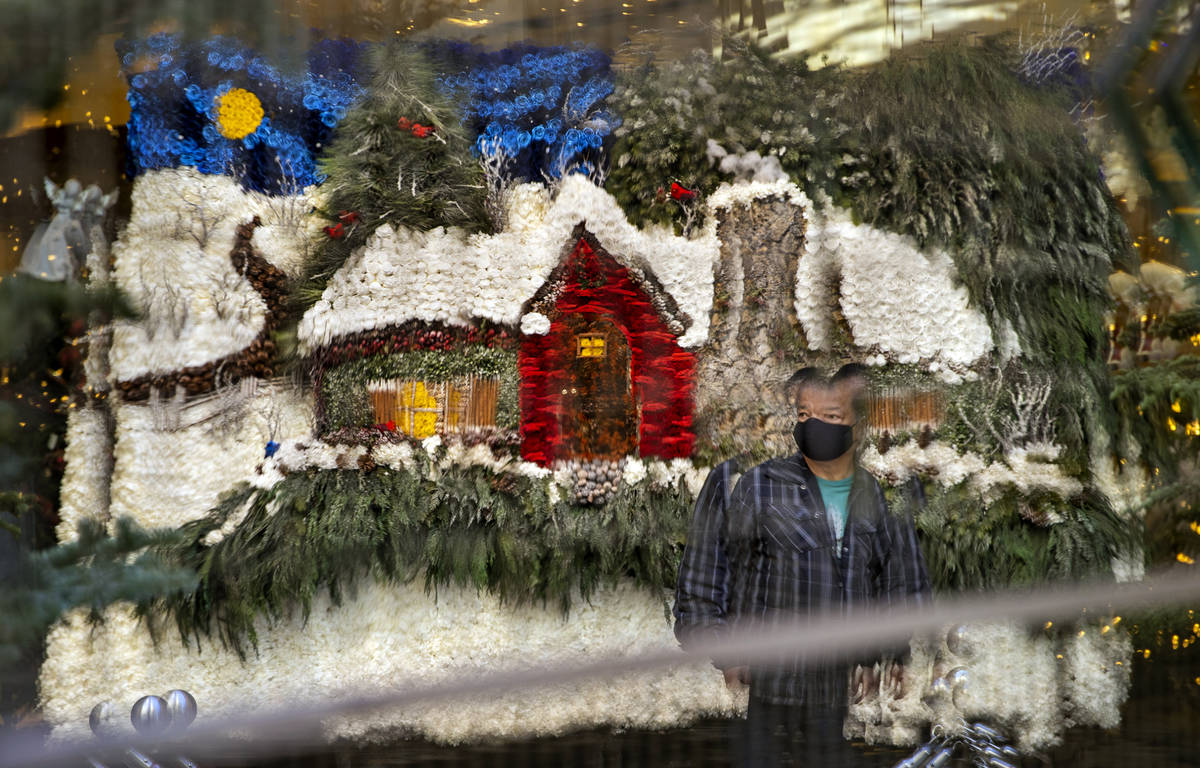The flower Christmas card is reflected in mirrors about the new winter display "Hopeful Holiday ...