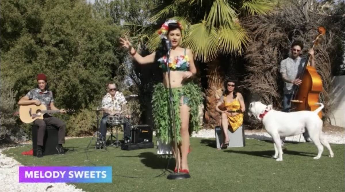 Melody Sweets, The Hypnotiques and Pearl the Dog are shown on a screen grab during Tony Hsieh's ...