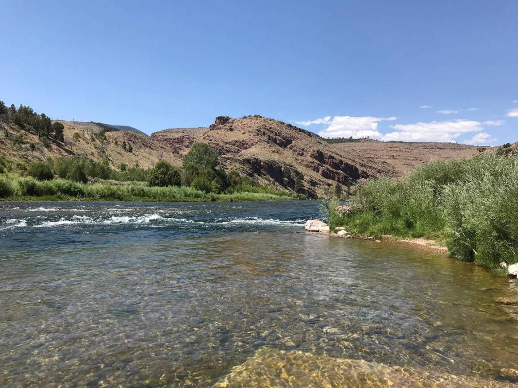 The Green River below the Flaming Gorge Dam is a fly-fisherman’s paradise. (Deborah Wall/Las ...