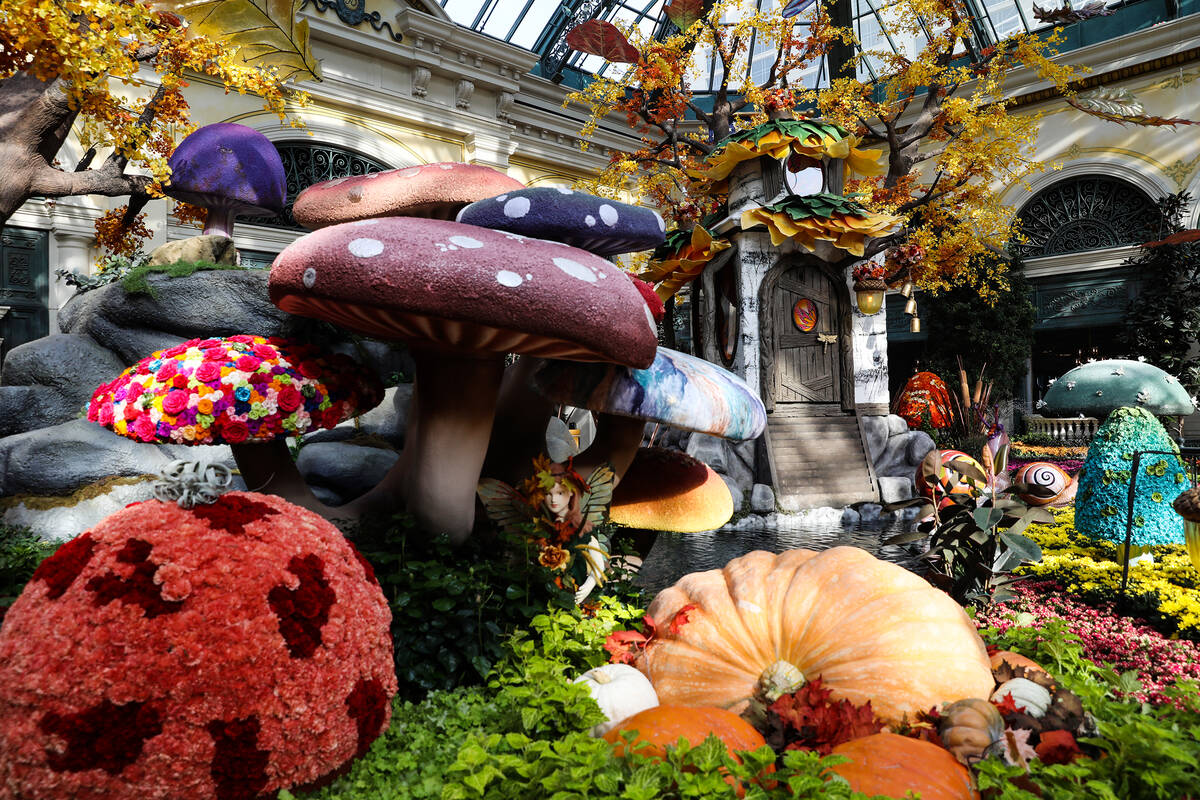 The fairy house in the west bed in the autumn exhibit "Deeper into the Forest" is on display un ...