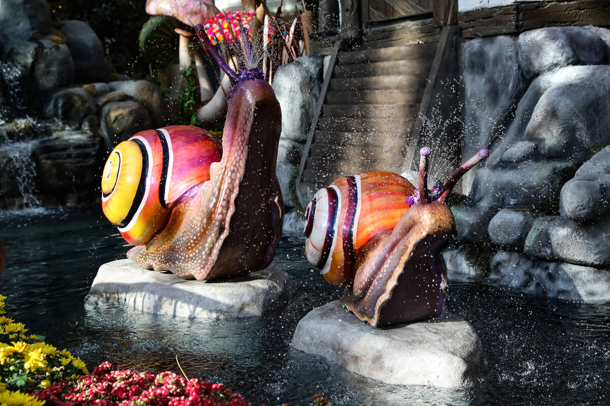 Snails in the west bed in the autumn exhibit “Deeper into the Forest” is on displ ...