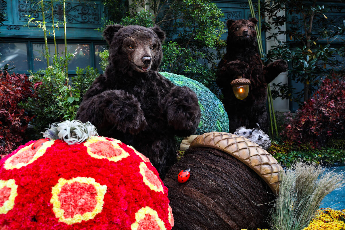 Bears in the north bed in the autumn exhibit ''Deeper into the Forest" is on display until Nov. ...
