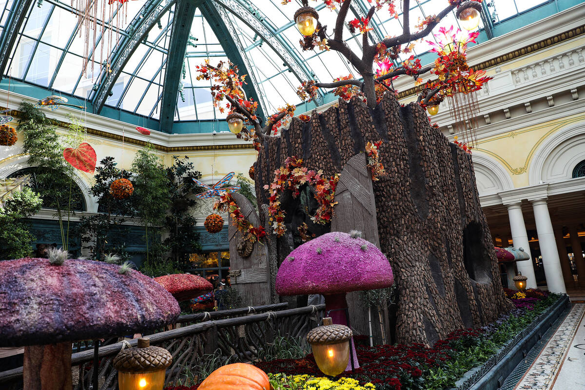 The tree trunk in the east bed in the autumn exhibit ''Deeper into the Forest" is on display un ...