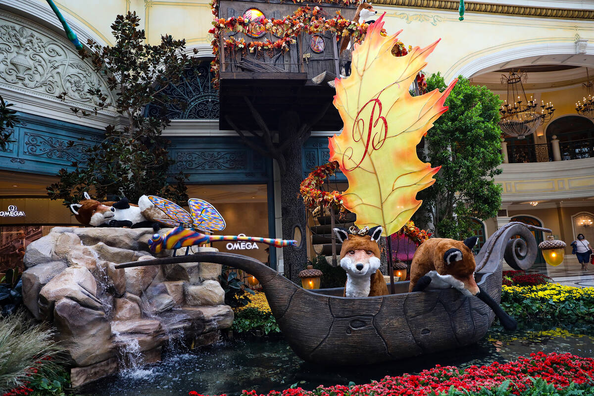 The south bed in the autumn exhibit “Deeper into the Forest” is on display until Nov. 13 at ...