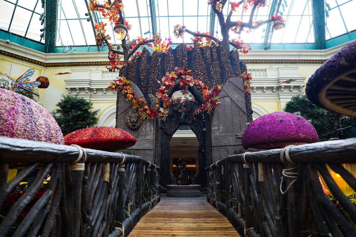 The tree trunk in the east bed in the autumn exhibit “Deeper into the Forest” on display un ...