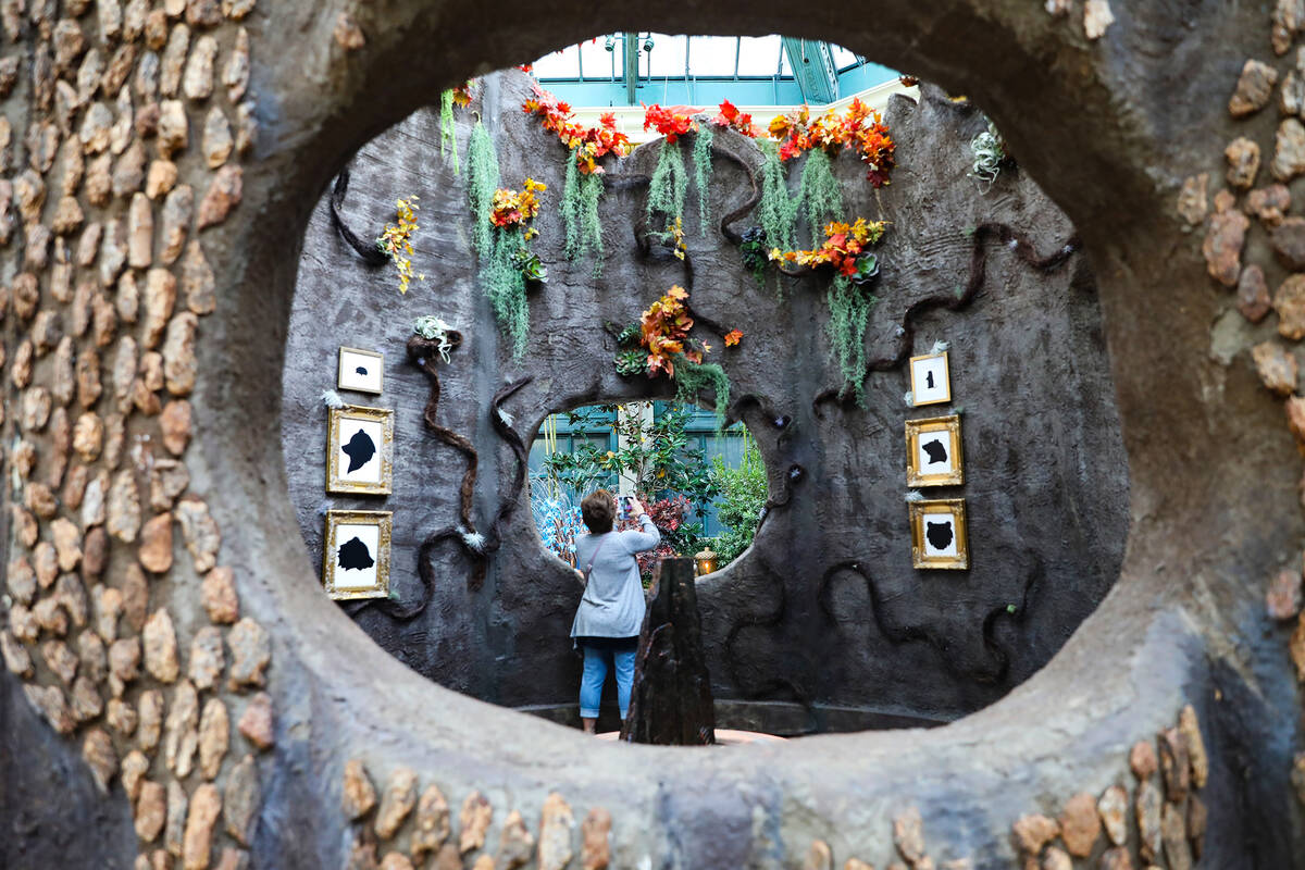 The tree trunk in the east bed in the autumn exhibit “Deeper into the Forest” is on display ...