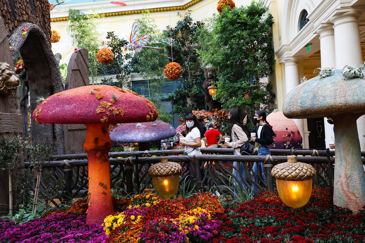 Guest enter in the east bed in the autumn exhibit “Deeper into the Forest” is on ...