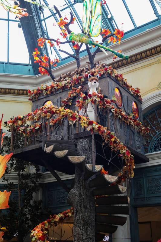 The south bed in the autumn exhibit “Deeper into the Forest” is on display until ...