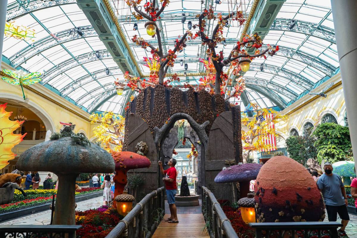 The east bed in the autumn exhibit “Deeper into the Forest” is on display until N ...