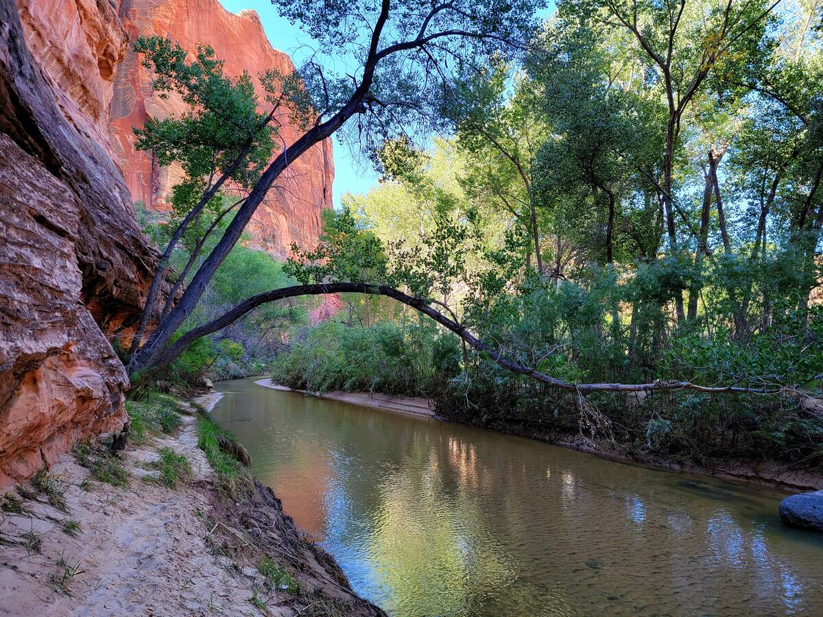 A 5-mile roundtrip hike through sand, vegetation, water, packed dirt and flash flood debris alo ...