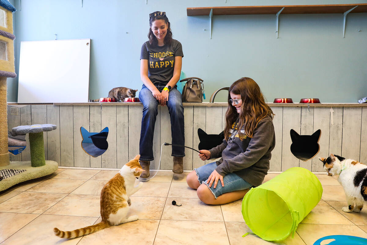 Jessica Sorensen, left, watches her daughter Lacey Sorensen, 9, play with cats at the Cat Cafe ...