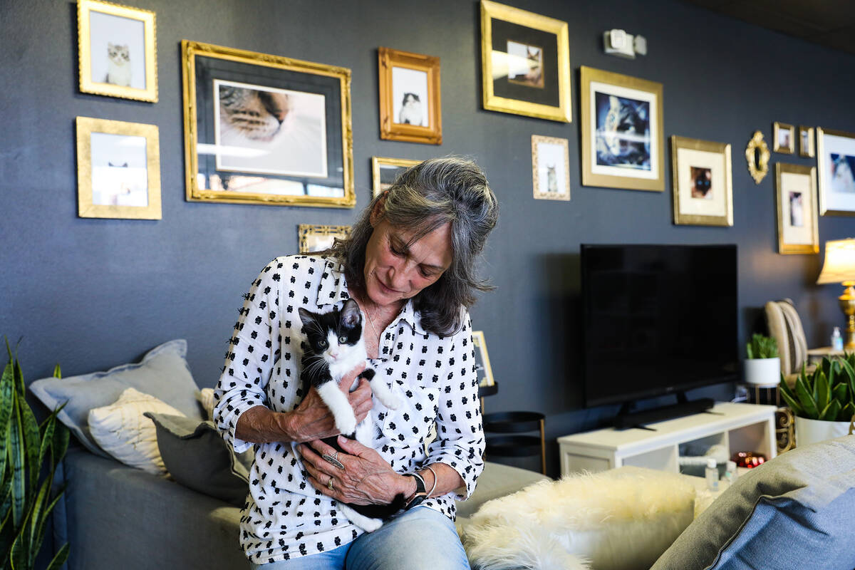 Sue Miller holds Iroh at the Cat Cafe at Hearts Alive Village, a pet adoption center, in Las Ve ...