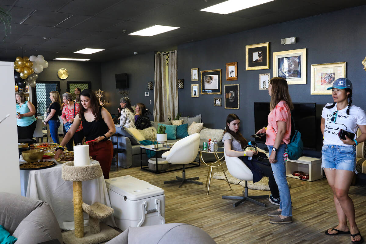 The Cat Cafe at Hearts Alive Village, a pet adoption center, in Las Vegas, Sunday, May 22, 2022 ...