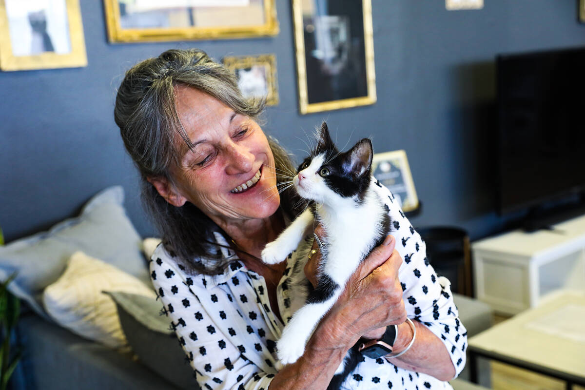 Sue Miller holds Iroh at the Cat Cafe at Hearts Alive Village, a pet adoption center, in Las Ve ...