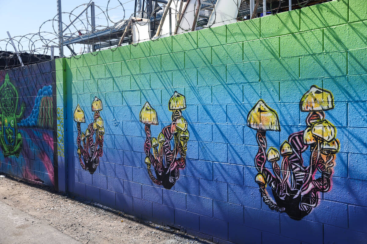 “Psilocybin Symbiosis,” a mural by Izaac Zevalking of Recycled Propaganda, in the ...