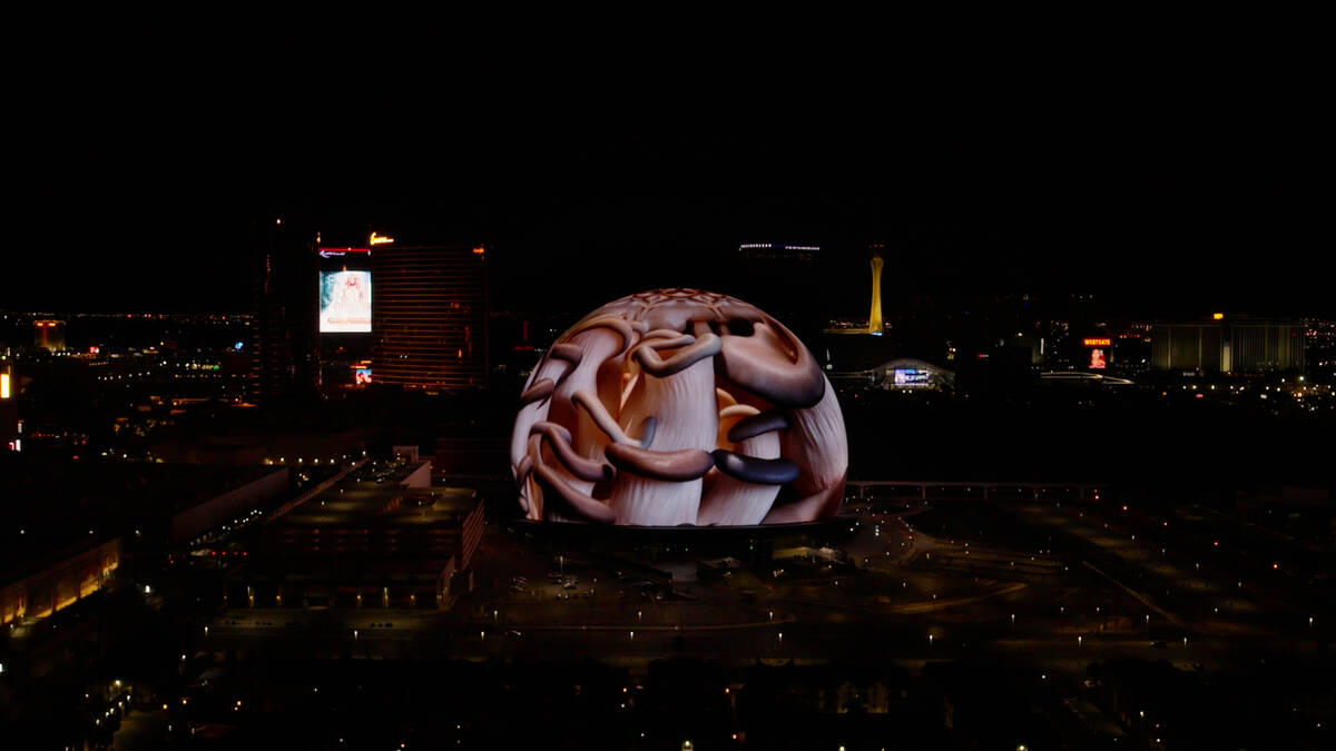 The art of filmmaker Louie Schwartzberg will be featured on the Sphere's Exosphere on Earth Day ...