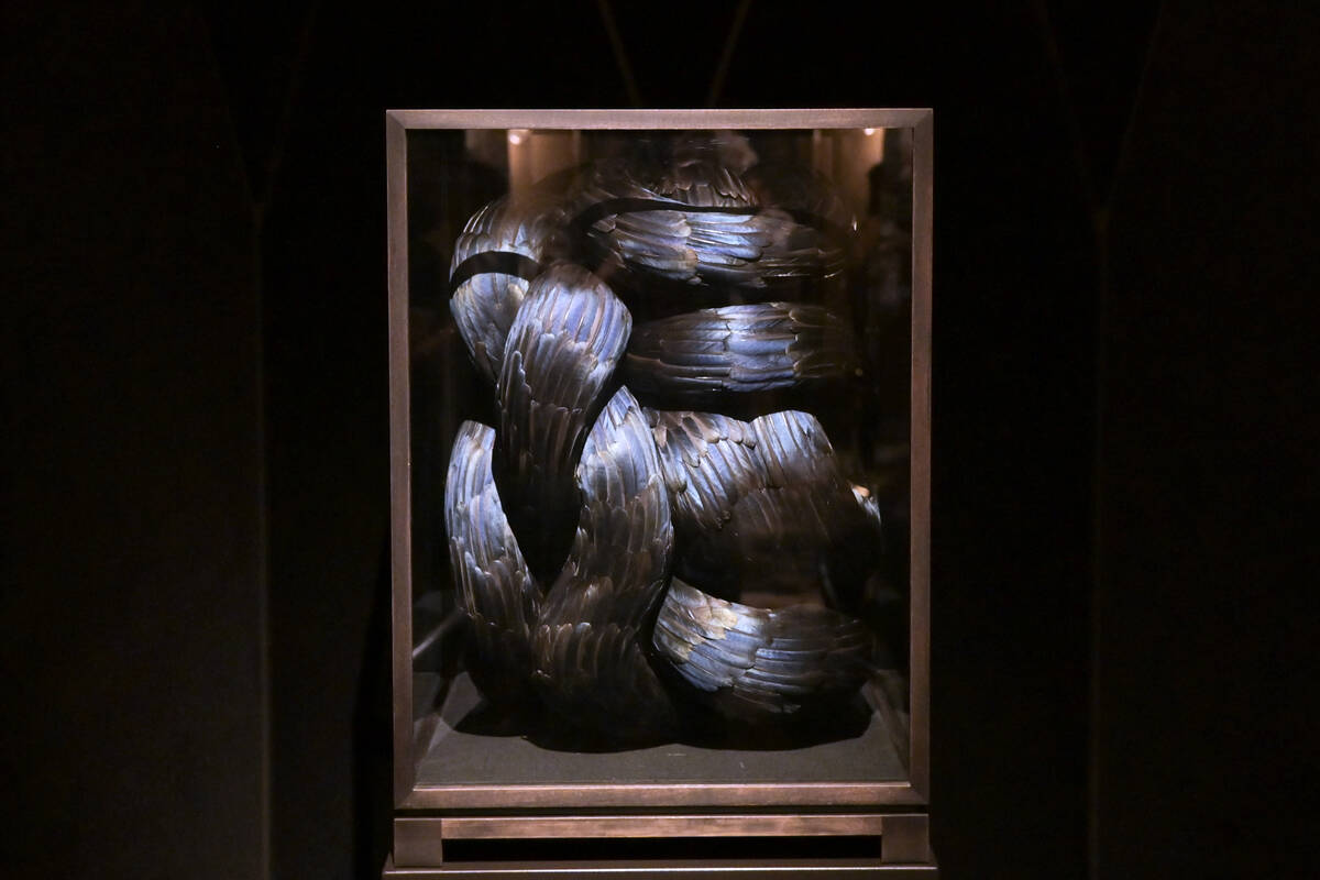 Kate MccGwire’s “Anomaly” is seen at Bellagio Friday, July 19, 2024, in Las Vegas. (Sam M ...