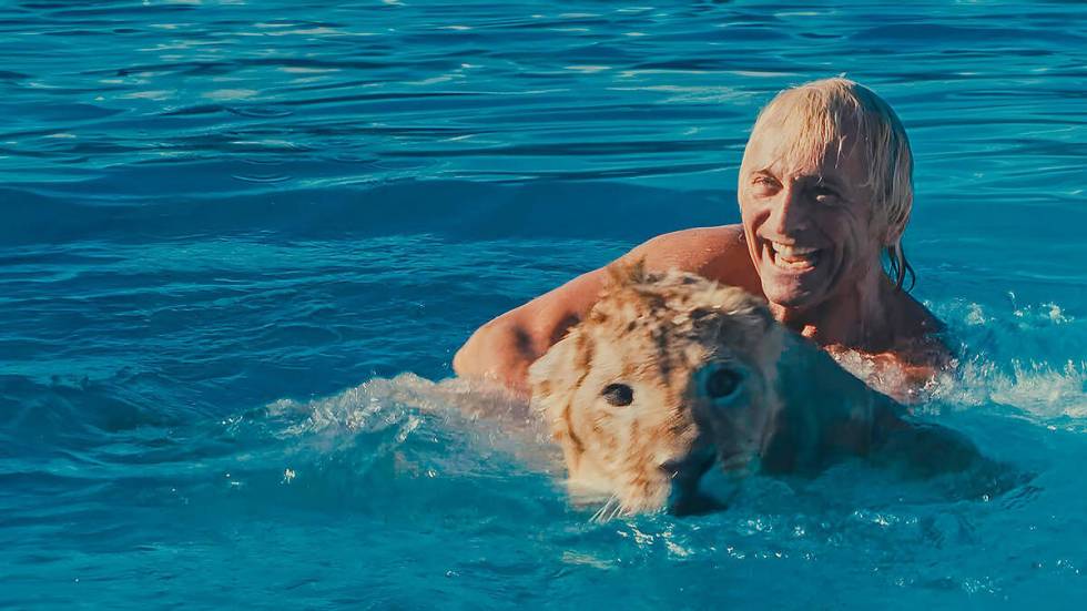 Tony Fercos, in a pool with a lion, on training man-eating animals from the time they’re youn ...