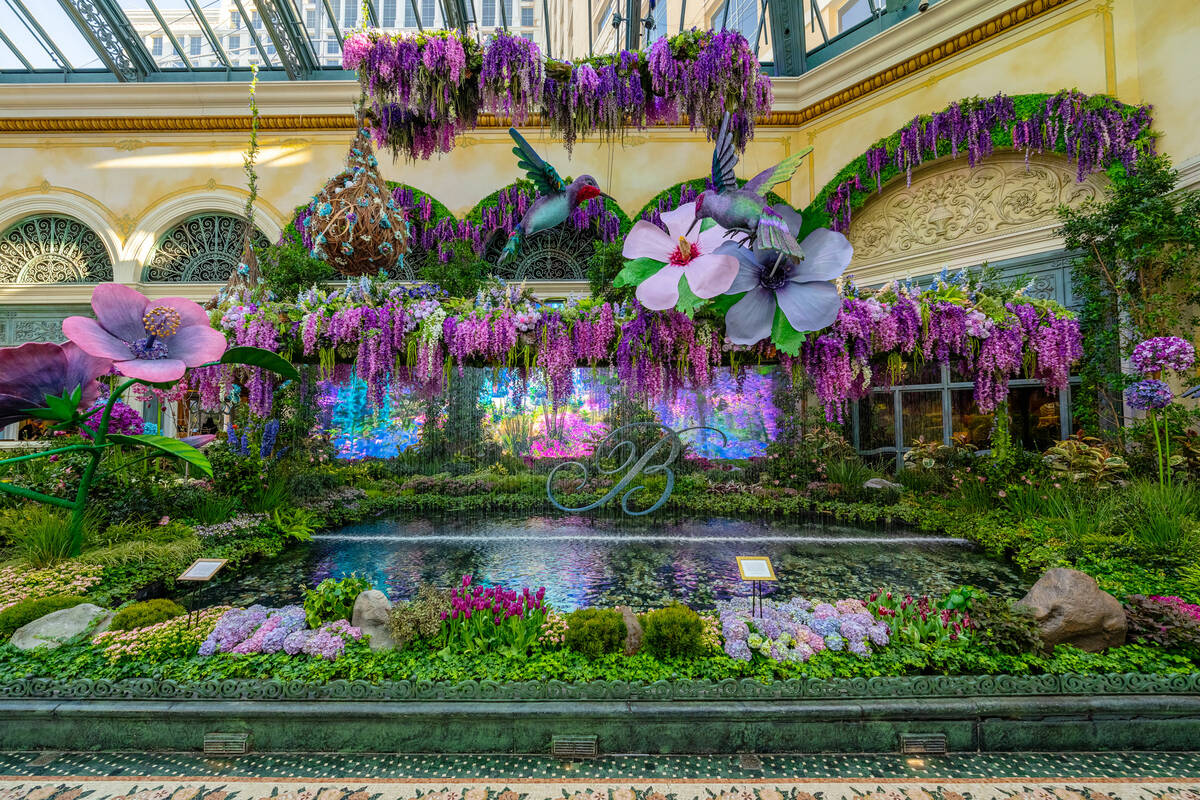 Bellagio Conservatory & Botanical Gardens’ “The Birds and the B’s” ...