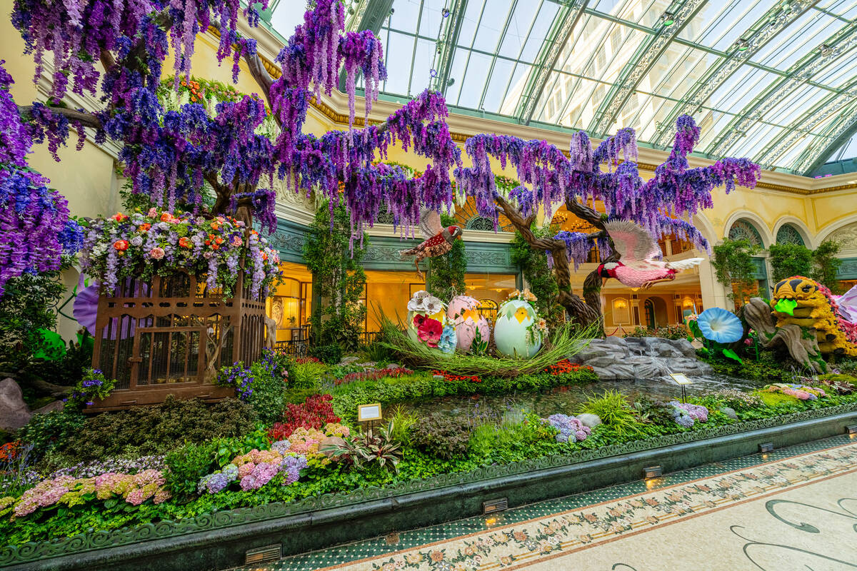 Bellagio Conservatory & Botanical Gardens’ “The Birds and the B’s” ...