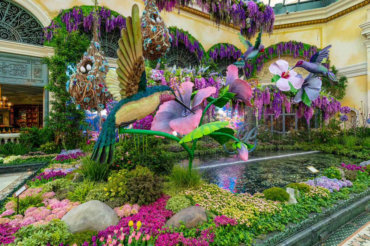 Bellagio Conservatory & Botanical Gardens’ “The Birds and the B’s” ...