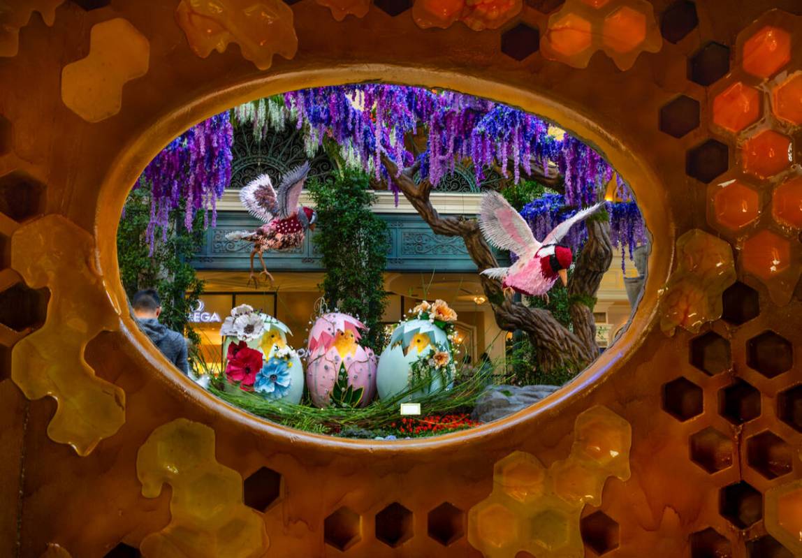 A view of chicks in eggs and flying birds from inside the beehive in "The Birds and the B& ...