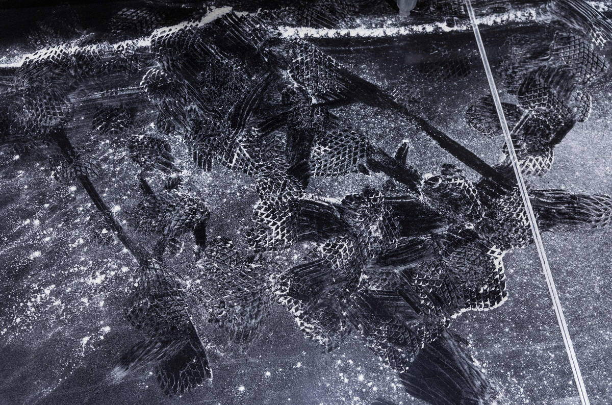 Footprints in flour mark the competition floor during the Pizza Triathlon at the International ...
