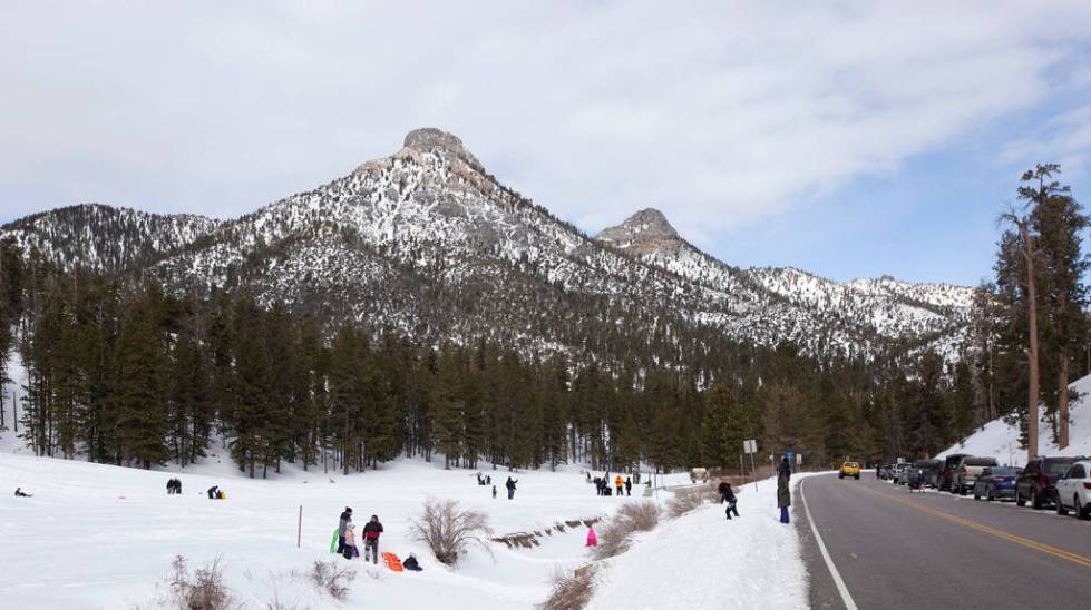 Upper Lee Meadows on Thursday, Nov. 28, 2019, in the Spring Mountain National Recreation Area i ...