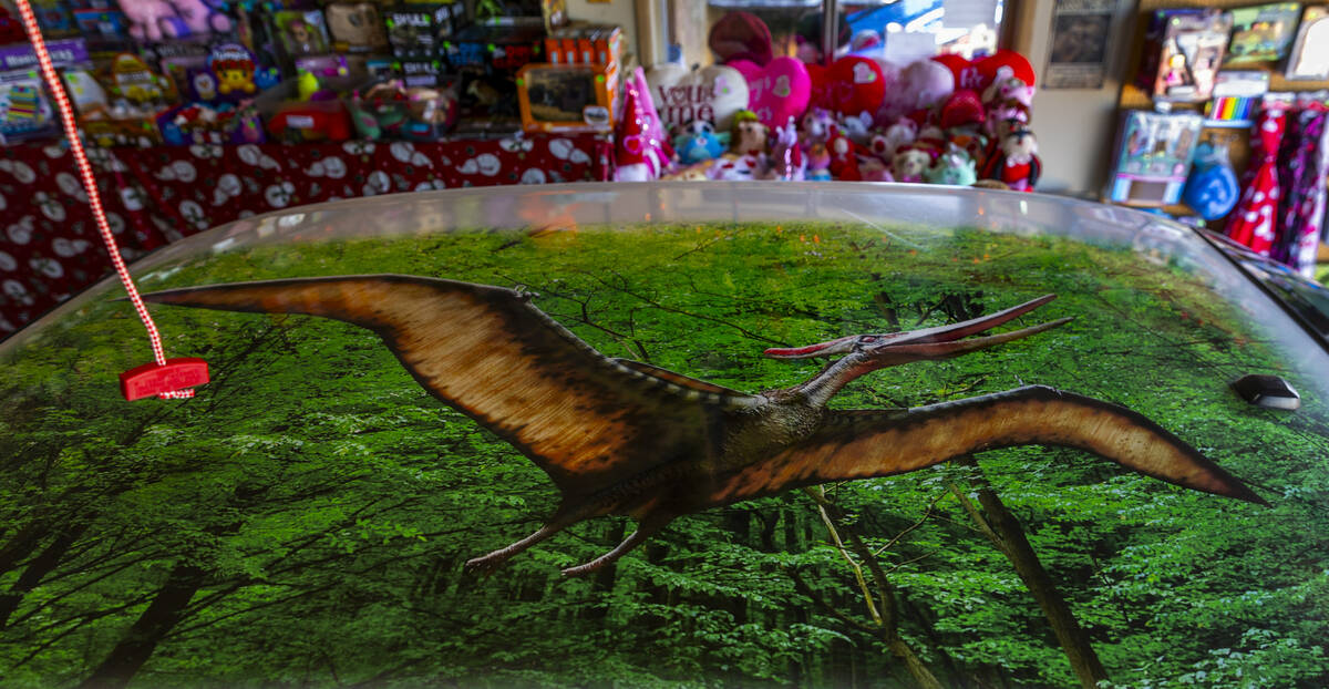 Former English teacher Steve Springer has a painted Pterodactyl on his Dinomobile at the Shan- ...