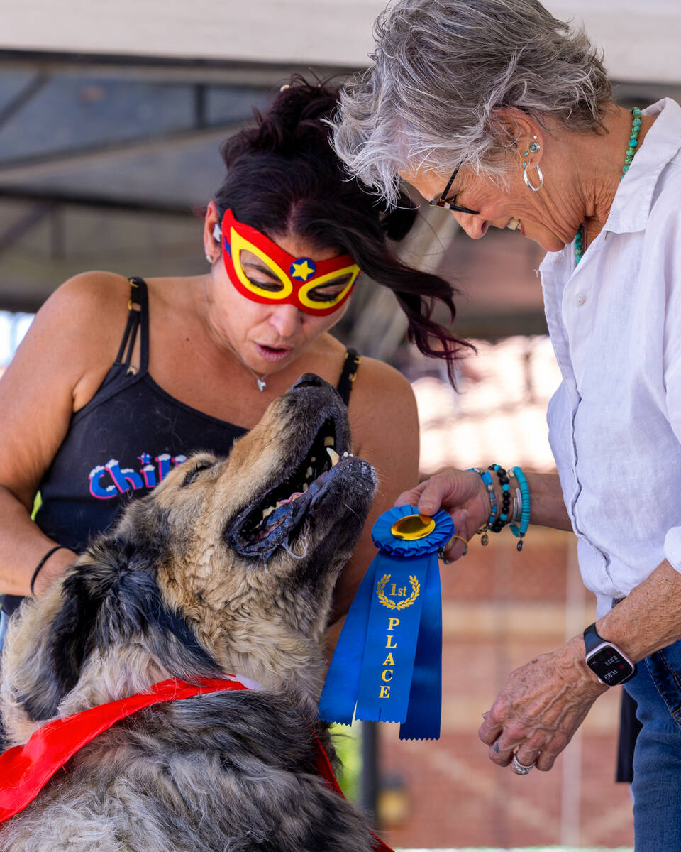 Chilly Jilly the dog is shown a first place ribbon for contest with their owner in the “B ...