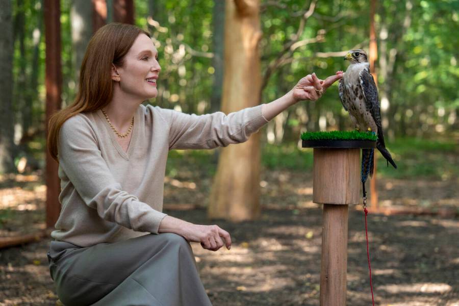 Julianne Moore in a scene from the dark comedy series "Sirens." (Macall Polay/Netflix)
